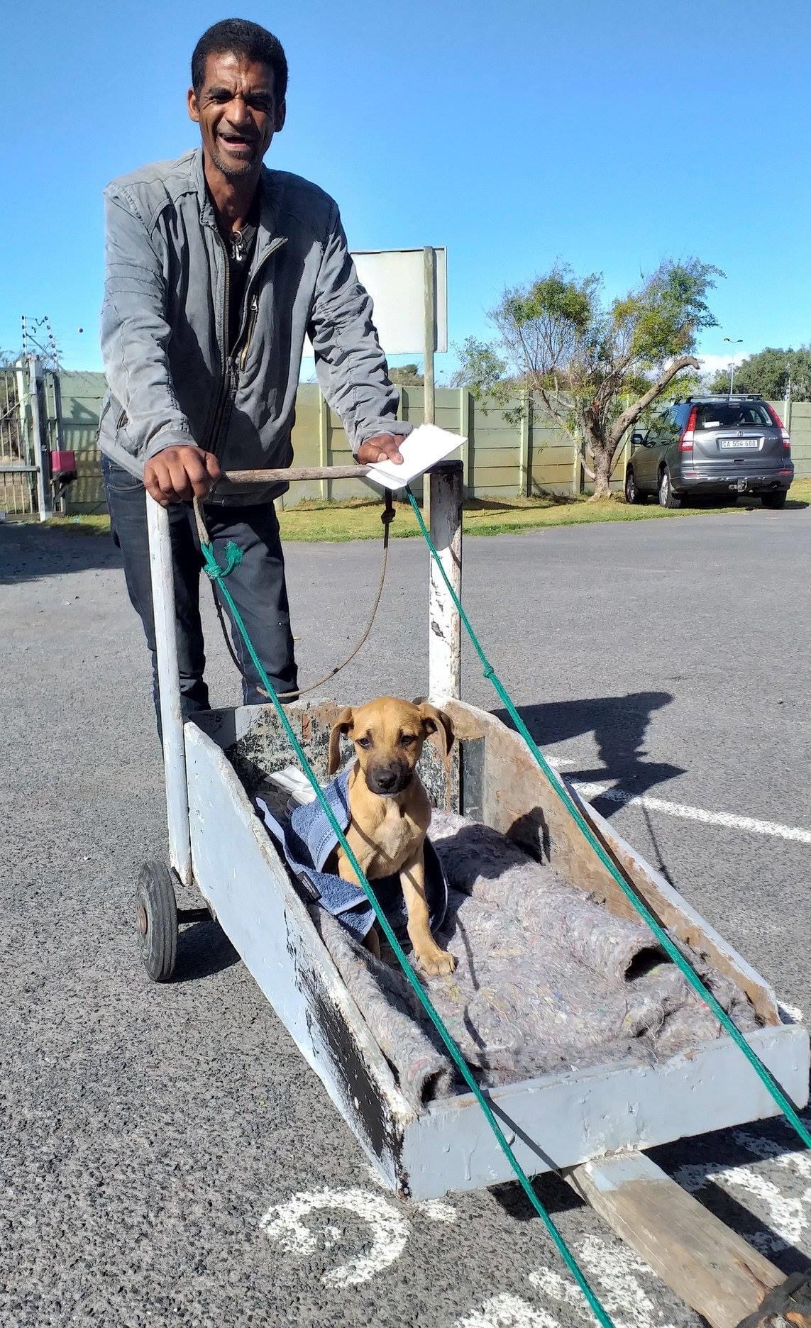 Mobile Clinics Animal Rescue Organisation