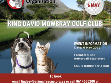 Copy of Golf Day Poster 1