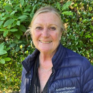 WhatsApp Image 2024-02-02 at 10.07.10