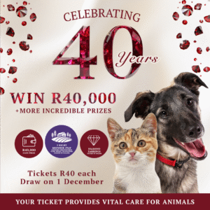 40th Birthday Fundraising Raffle