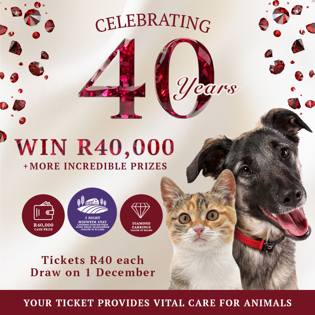 40th Birthday Fundraising Raffle